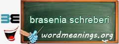 WordMeaning blackboard for brasenia schreberi